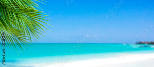 Beautiful seascape panorama with palm