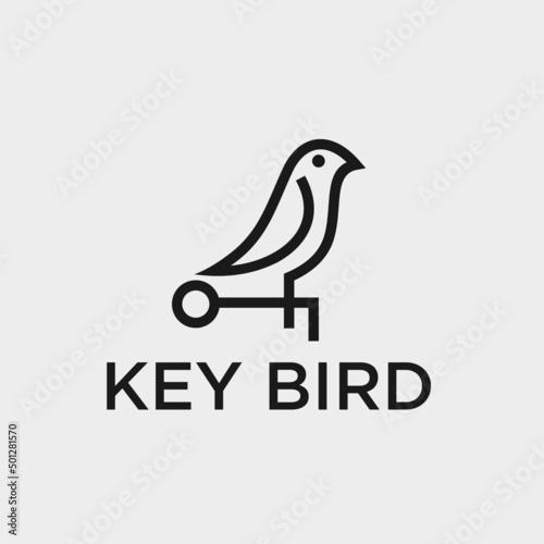 bird key logo or bird logo