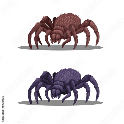 Tarantula or Giant Spider animal character in two color set illustration vector