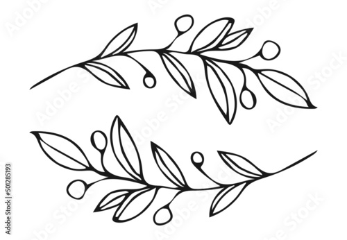 black and white silhouettes of leaves.Horizontal white banner or floral background decorated with flowers. Hand drawn line wedding herb, elegant leaves