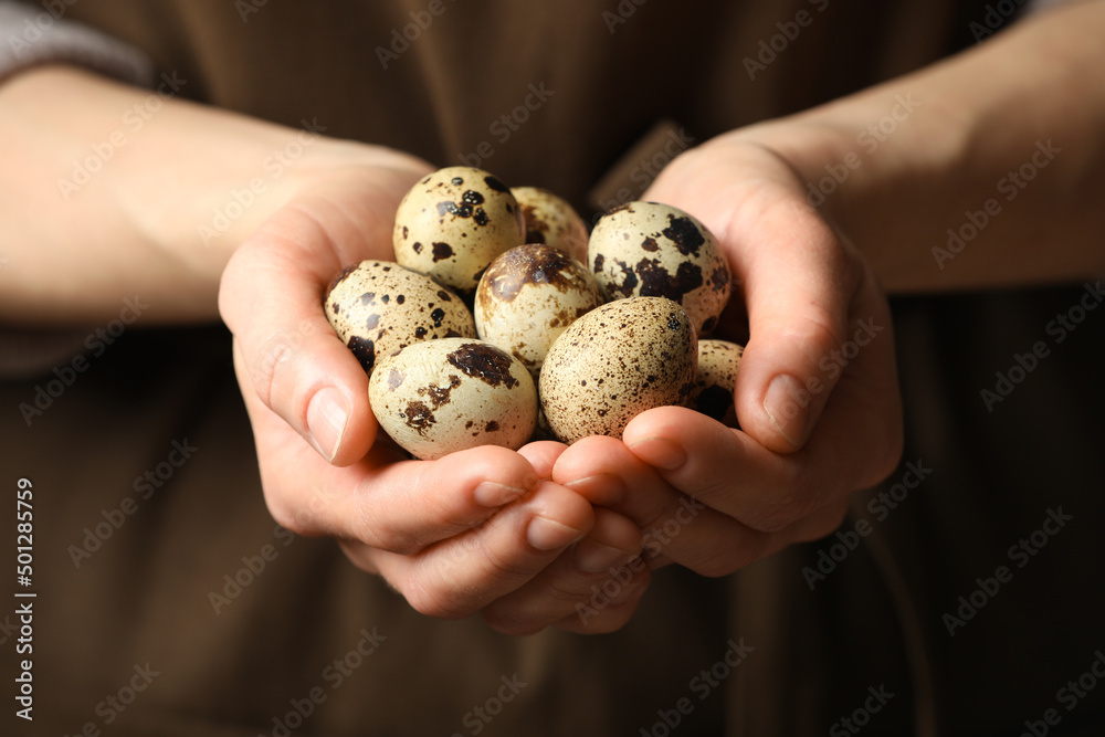 Woman with handful of quail eggs, closeup Woman with handful of quail eggs, closeup