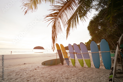 Fototapeta Naklejka Na Ścianę i Meble -  Tourism  relax wide Surfboards on sand beach summer travel holiday. Sunny or sunset copy space 2022. 
