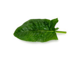 Spinach leaf isolated on white background. Fresh green spinach Top view. Flat lay.