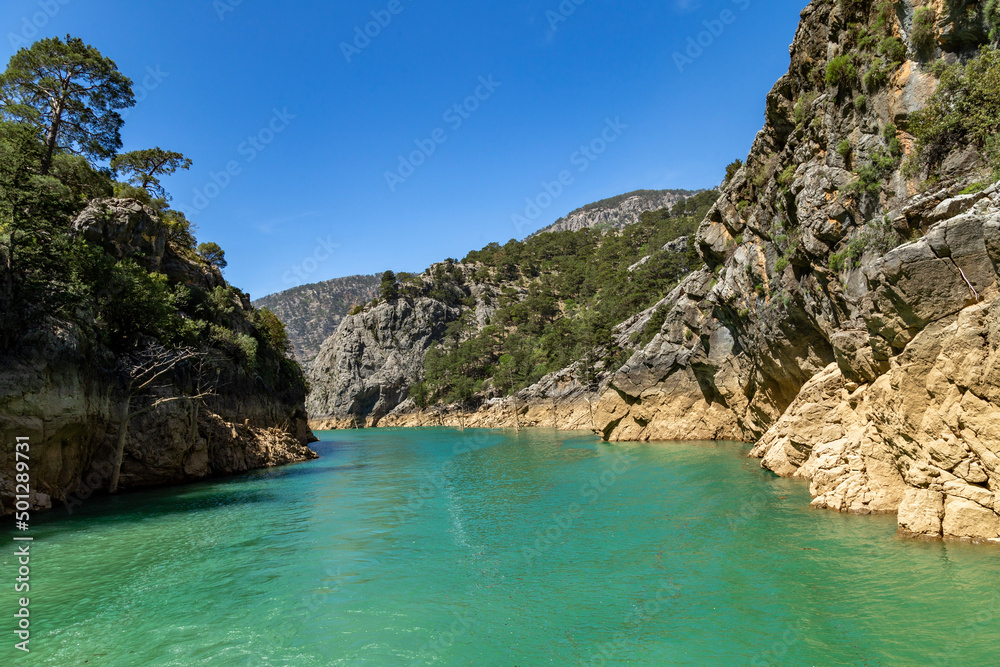 Fototapeta premium beach