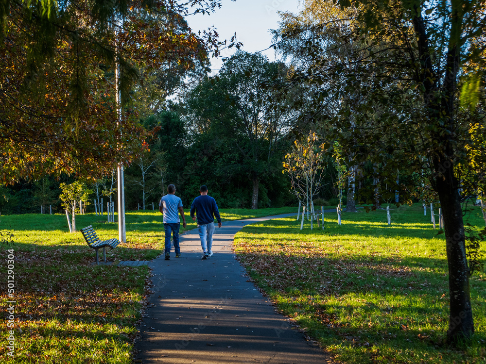 park in the park park in the park