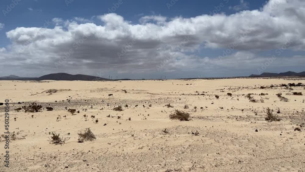 Parque Natural de Corralejo, Fuerteventura. Islas Canarias Parque Natural de Corralejo, Fuerteventura. Islas Canarias