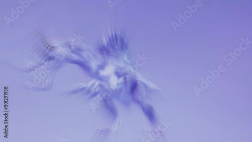 吠える怪獣1