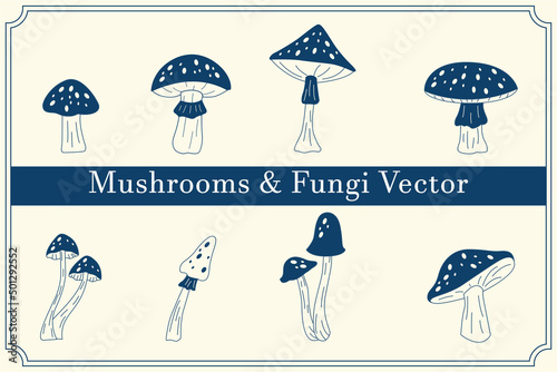 Set of mushrooms. Outline with transparent background. Vector sketch illustration