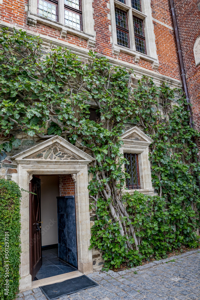 Ivy growing on beautiful façade, Belgium