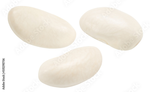 white beans isolated on white. the entire image is sharpness.