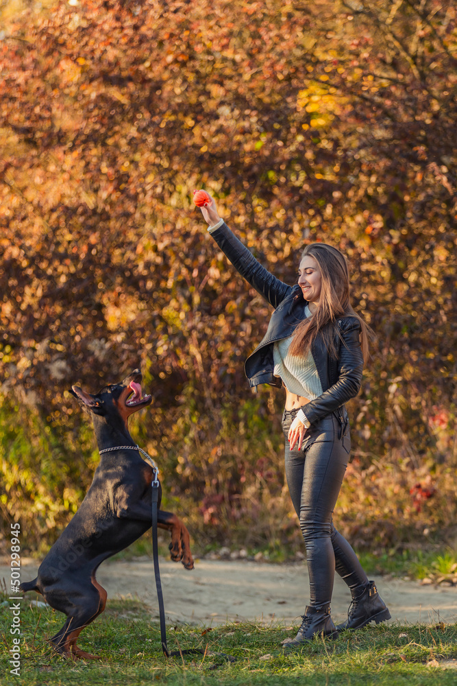 girl plays with a Doberman dog with a ball