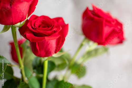 Bouquet of red roses. Flower background. Copy space. 