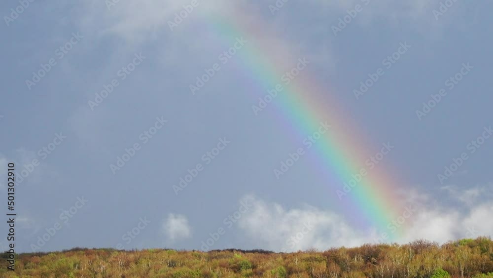 Rainbow in the sky after the rain over the forest.