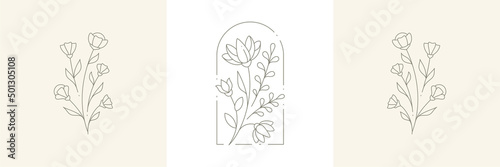 Elegant decorative cute natural plant linear simple logo with antique frame hand drawn pastel card