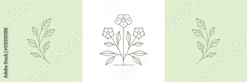 Line art deco simple wild cute flowers with stem, buds, petals and leaves decorative design card