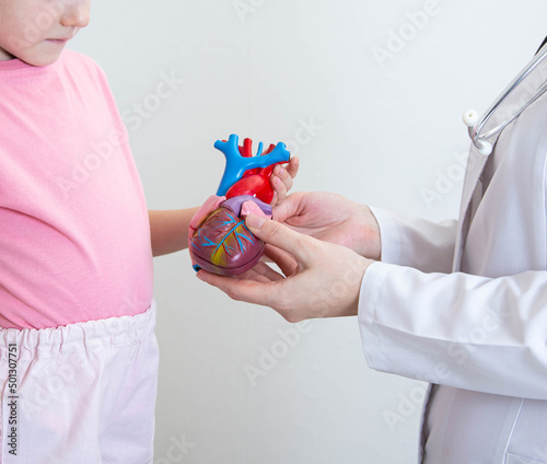 The hands of a child and the hands of a doctor-cardiologist are holding a mock-up of a heart. The concept of examination and treatment of the heart of children. Pediatric cardiology, close-up photo