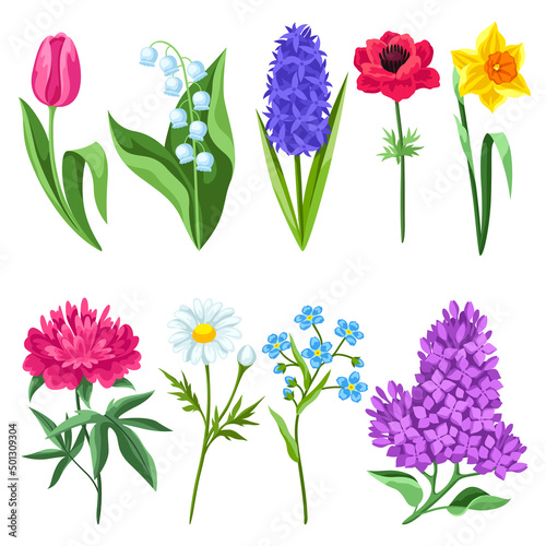 Set of spring flowers. Beautiful decorative bouquet of blooming plants.