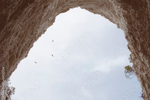 Tableau sur toile Rondini che sorvolano una grotta di pietra bianca nella macchia mediterranea