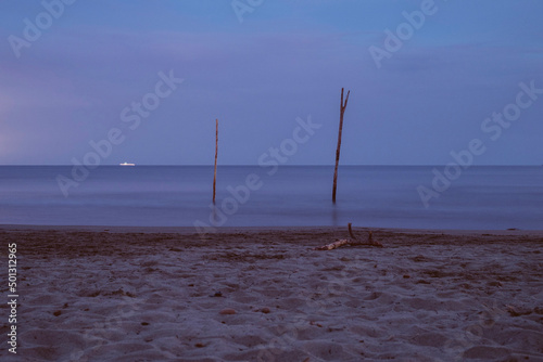 Tronchi piantati nell'acqua sulla spiaggia della Feniglia sulla penisola dell' Argentario. Vista notturna con nave illuminata sullo sfondo. photo