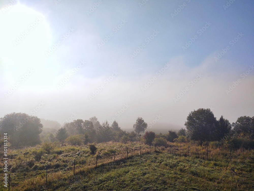 Obraz premium Mist in the forest. Sunrays behind the trees. Slovakia
