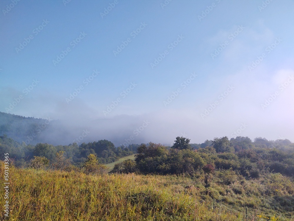 Fototapeta premium Mist in the forest. Sunrays behind the trees. Slovakia