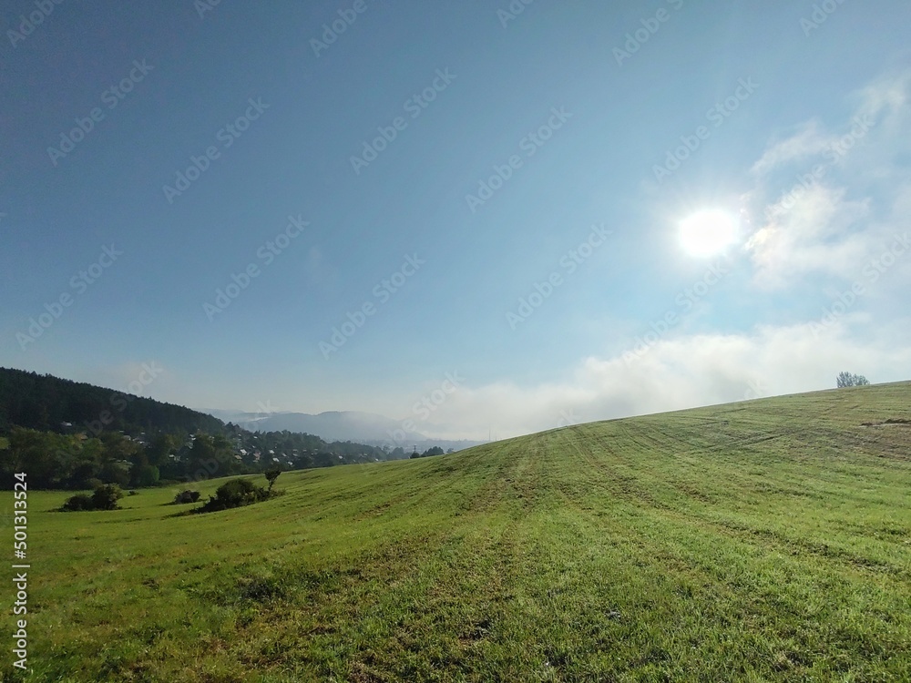 Fototapeta premium Mist in the forest. Sunrays behind the trees. Slovakia