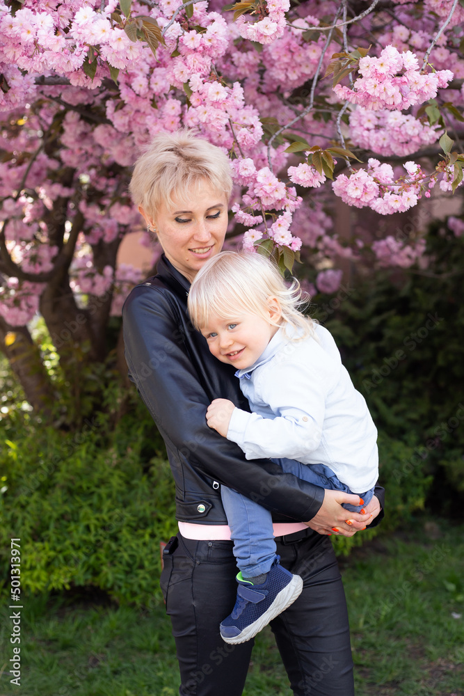 Fototapeta premium Young mother mom holding her little baby son boy child under blossoming Sakura Cherry trees with falling pink petals and beautiful flowers