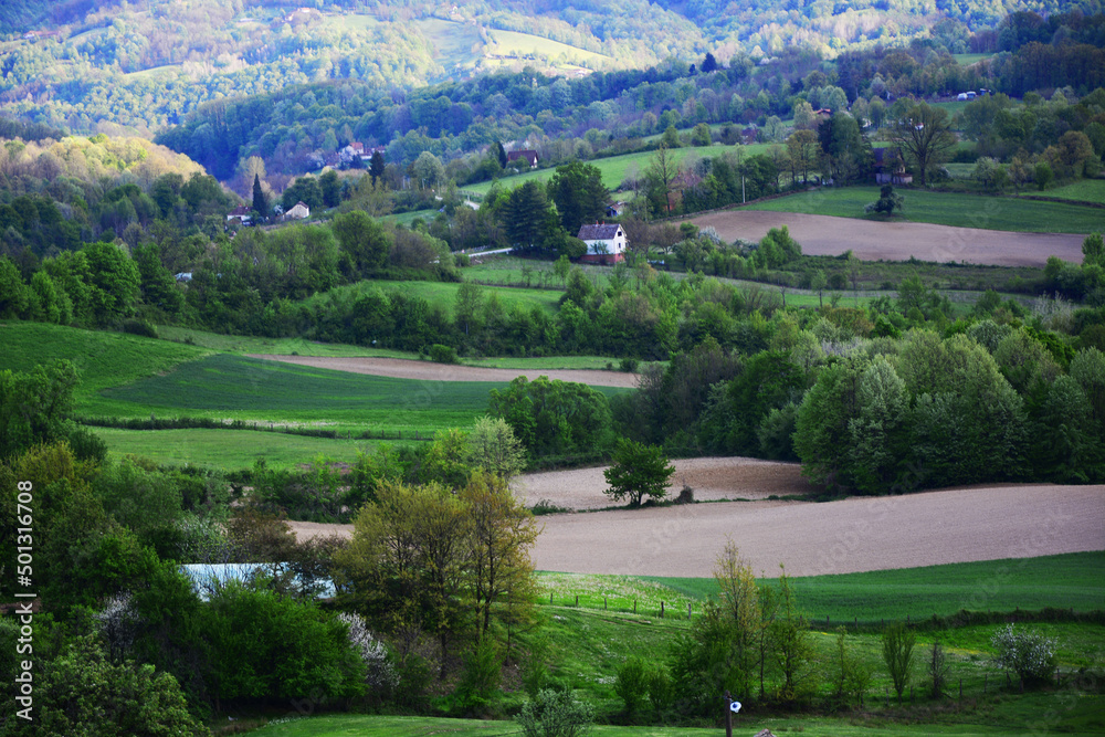 landscape in the mountains