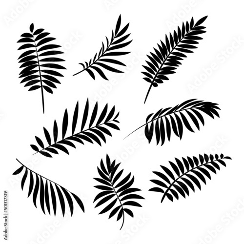 Black silhouette of palm leaves isolated on white. Vector illustration