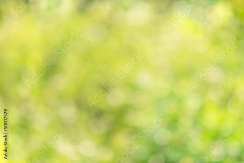 Abstract bokeh green color for the nature background. Daylight outdoor and The air is so fresh. The concept for design blurred and defocused effect season.