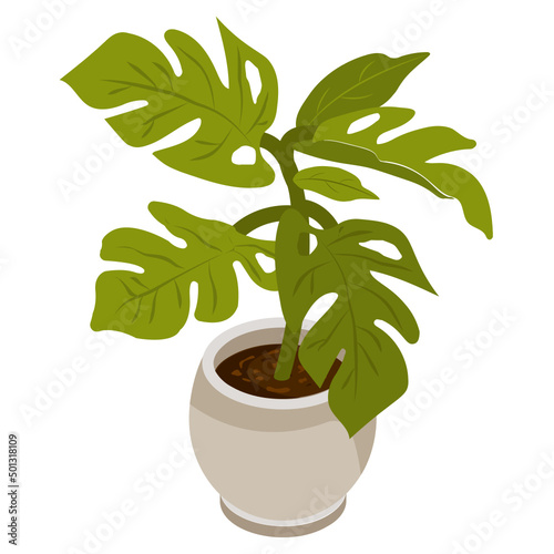 Swiss Leaves 