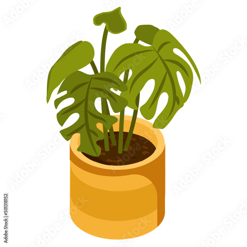 Swiss Plant 