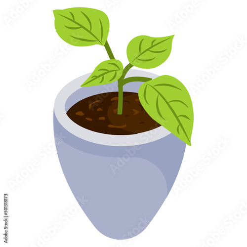 Potted Plant 