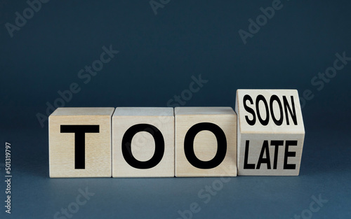 Принти на полотні Cubes form the words Too soon or too late