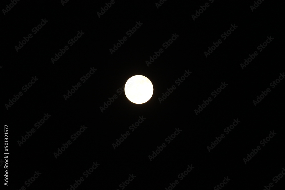 moon in the night moon in the night