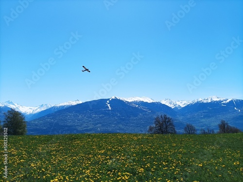 flying aeromodelism plane with flowers and mountains background
avion en vol de modélisme miniature avec paysage de montagne et fleurs jaunes photo