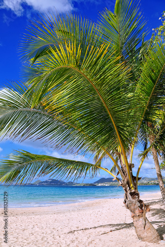 Strand in der Karibik, St. Lucia