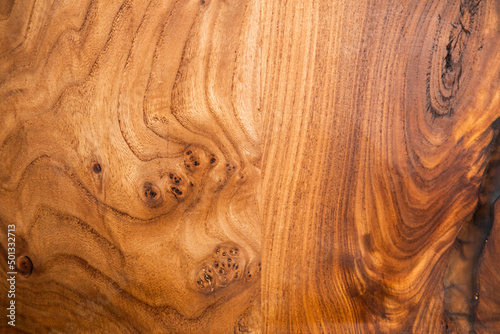 Texture of tree stump for background. Rough organic texture of tree annual rings