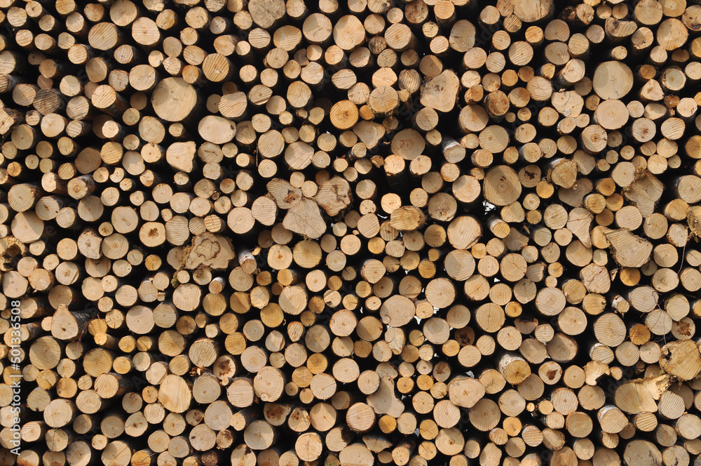 heap of wooden logs background