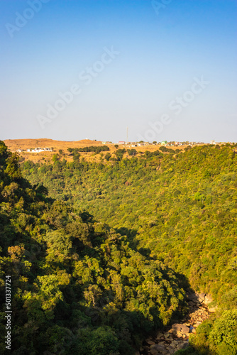 dense green forests at mountains with bright blue sky at morning from flat angle