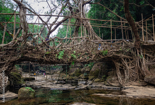 isolated tree root bridge natural formed single decker at day from flat angle