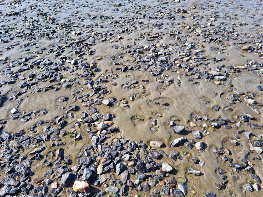 close up Seaside beach with pebbles. close up Seaside beach with pebbles.