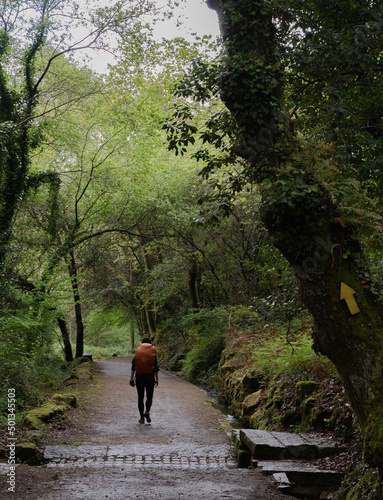 viajero haciendo senderismo por un camino verde con una mochila, siguiendo la señal amarilla del camino De Santiago © Pablo