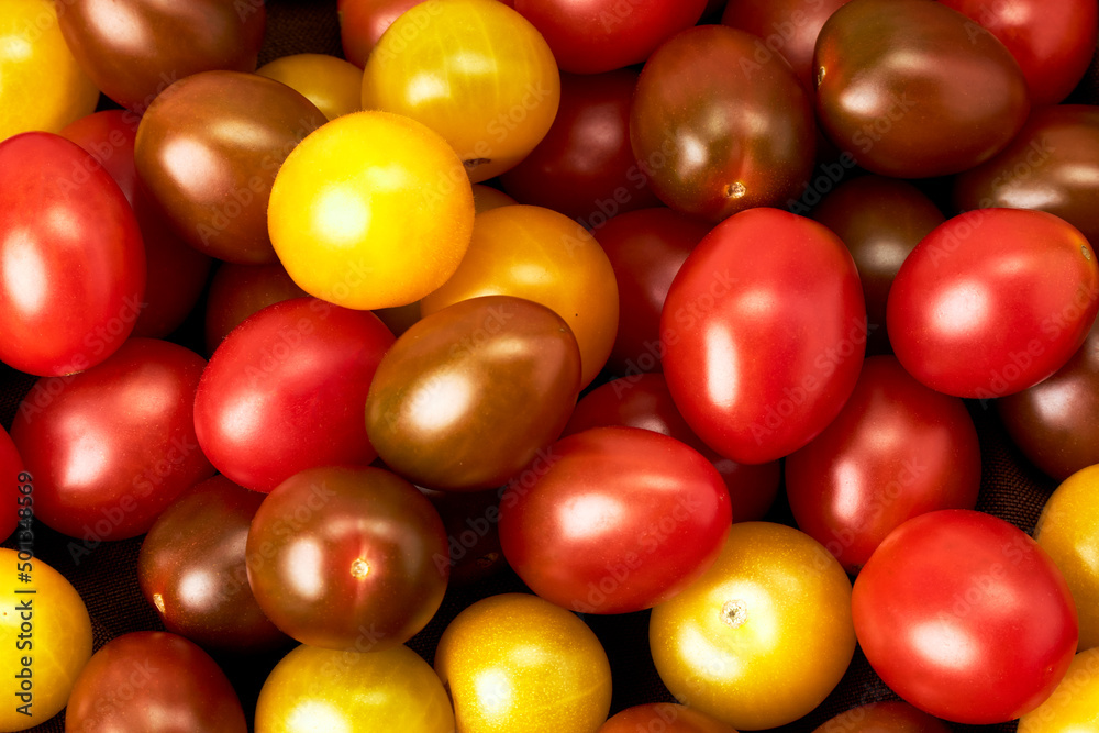Cherry tomatoes of various colors. Healthy food Cherry tomatoes of various colors. Healthy food