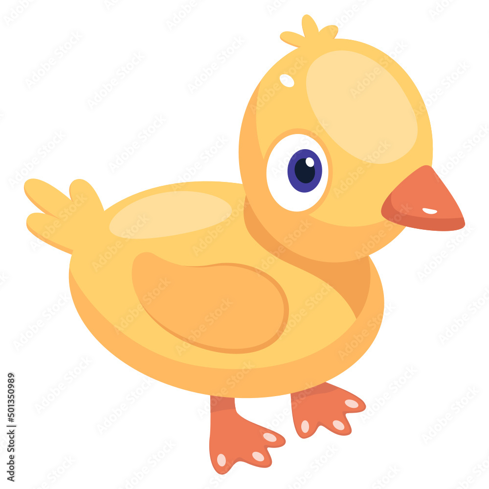 Chick Chick