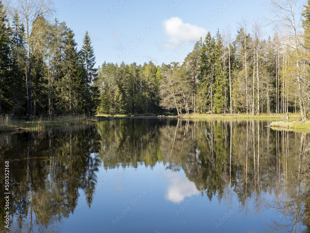 Calm lake reflection in springin a sunny day.