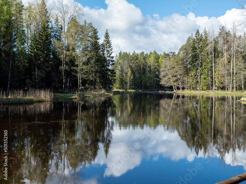 Calm lake reflection in springin a sunny day.