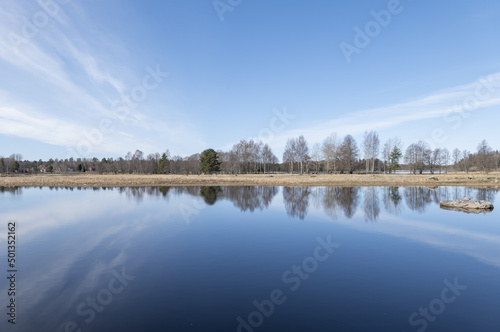 Calm lake reflection in springin a sunny day.