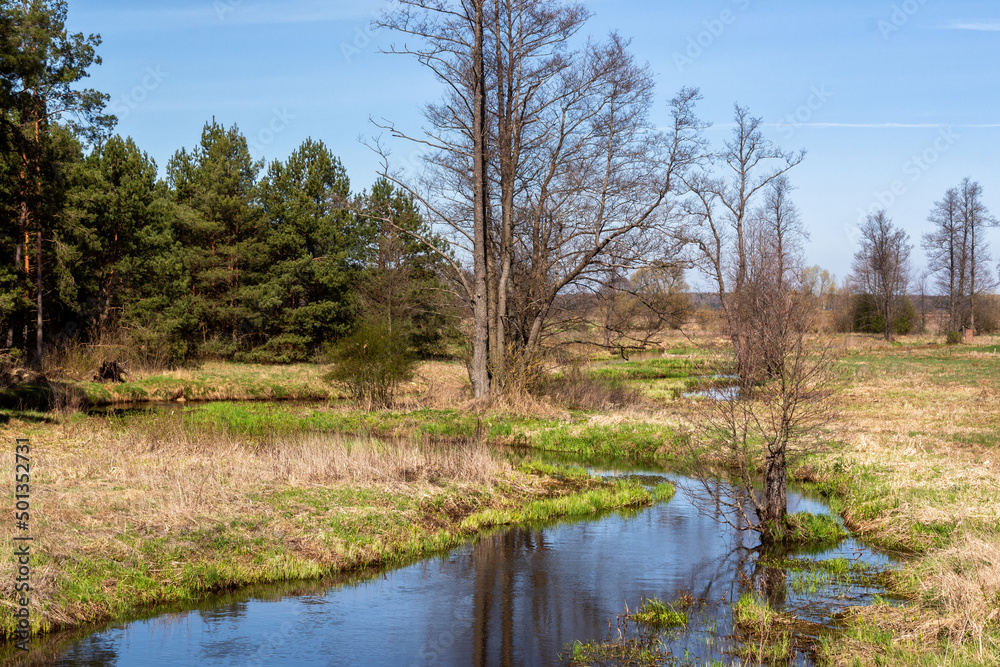 Wiosna w Dolinie Górnej Narwi, Podlasie, Polska Wiosna w Dolinie Górnej Narwi, Podlasie, Polska