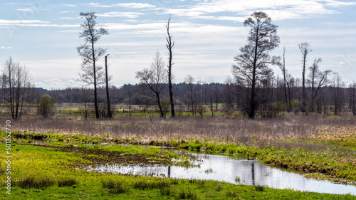 Fototapeta Naklejka Na Ścianę i Meble -  Wiosna w Dolinie Górnej Narwi, Podlasie, Polska